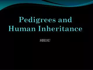Pedigrees and Human Inheritance