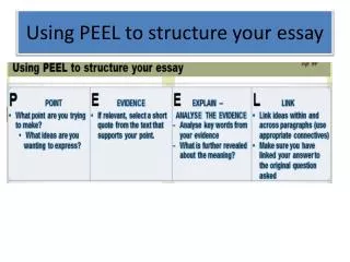 using peel to structure your essay