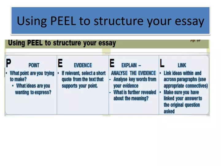 using peel to structure your essay