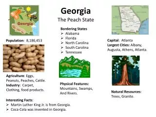 Georgia The Peach State