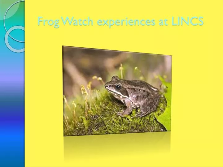 frog watch experiences at lincs