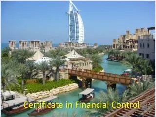 Certificate in Financial Control