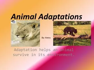 Animal Adaptations