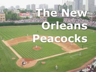 The New Orleans Peacocks