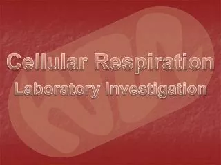 Cellular Respiration Laboratory Investigation