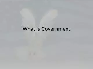 what is government