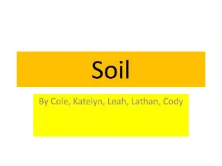 Soil