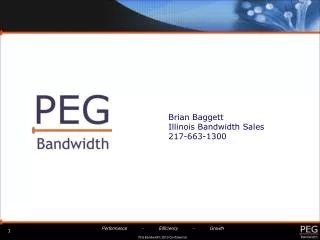 Brian Baggett 	Illinois Bandwidth Sales 	217-663-1300