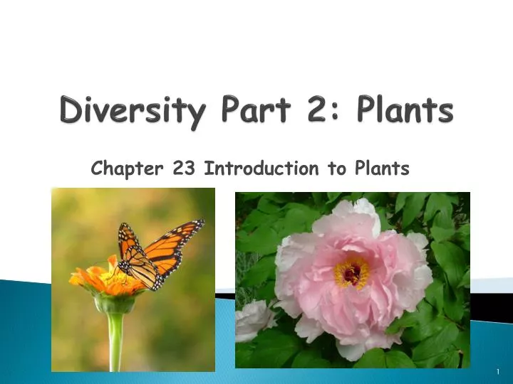 diversity part 2 plants