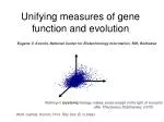 Synthesizing Gene Function and Evolution: The Role of Evolutionary Systems Biology - slide 1