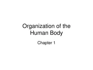 Organization of the Human Body