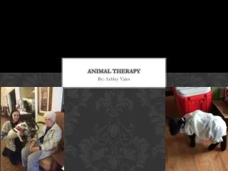 Animal Therapy