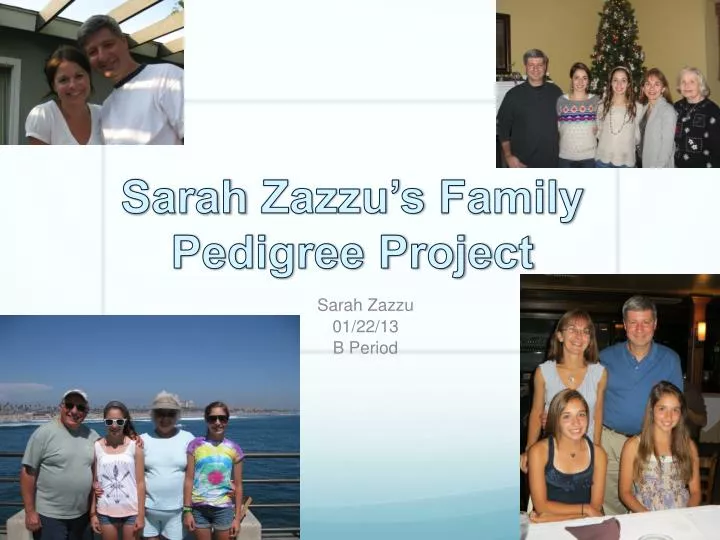 sarah zazzu s family pedigree project