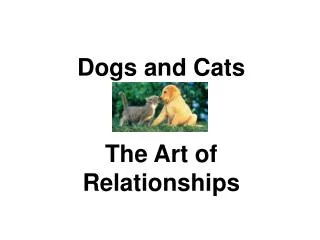 Dogs and Cats The Art of Relationships