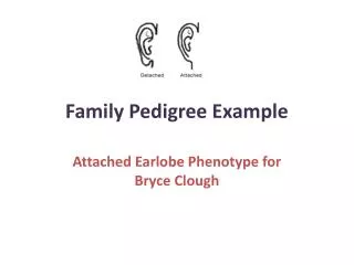 Family Pedigree Example