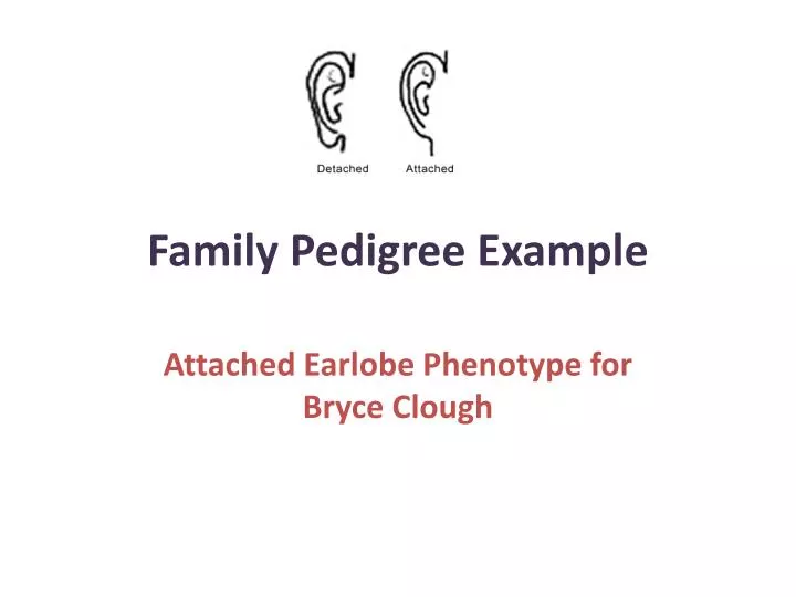 family pedigree example