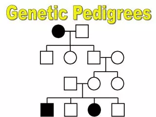 Genetic Pedigrees