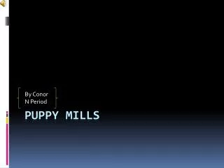 Puppy Mills