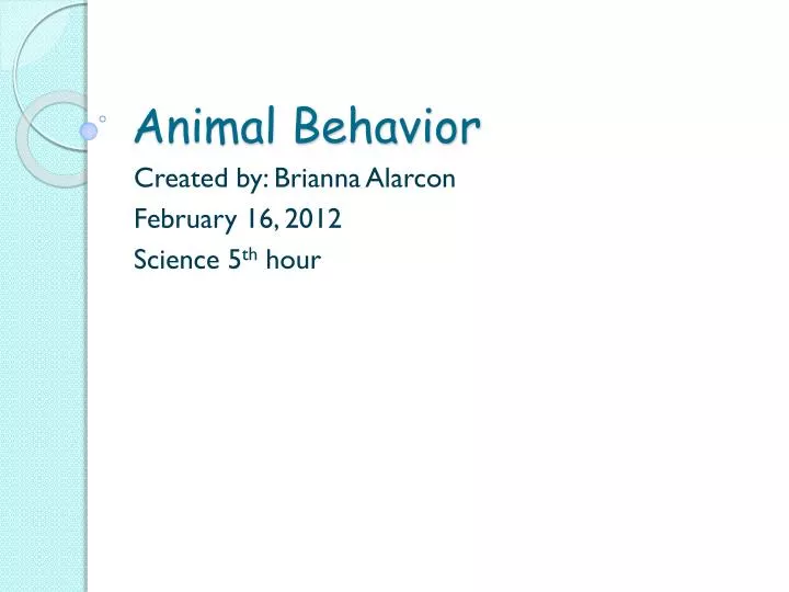 animal behavior