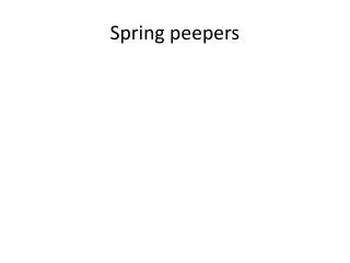Spring peepers