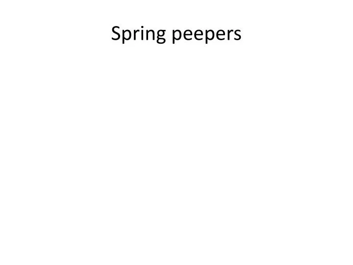 spring peepers