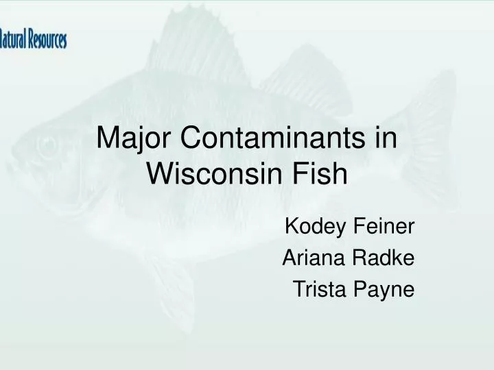 major contaminants in wisconsin fish