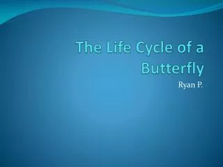 The Life Cycle of a Butterfly