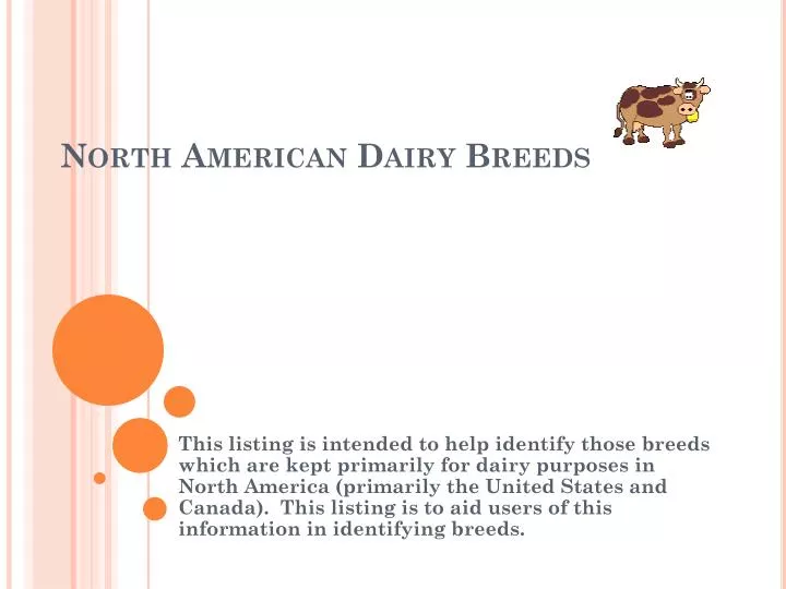 north american dairy breeds