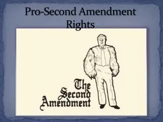 Pro-Second Amendment Rights