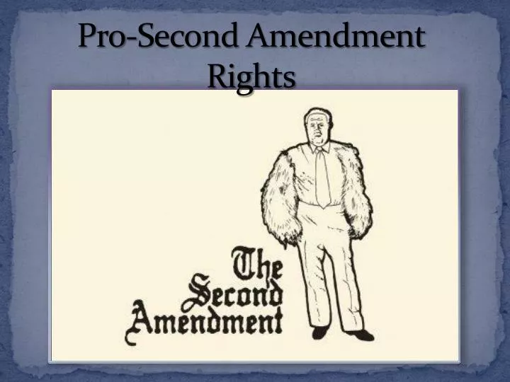 pro second amendment rights