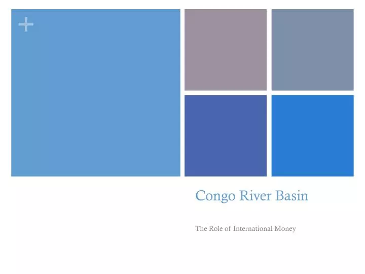 congo river basin