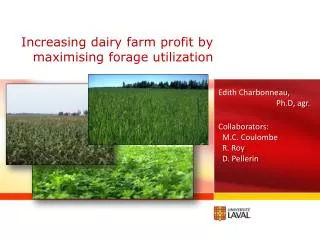 Increasing dairy farm profit by maximising forage utilization