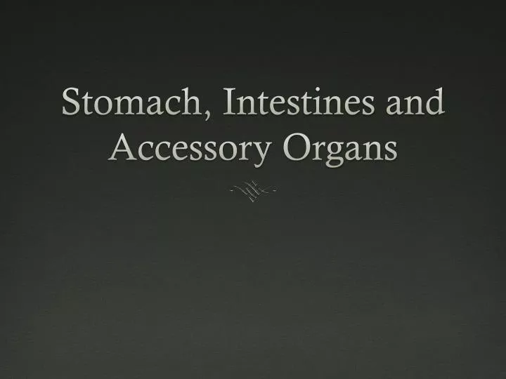 stomach intestines and accessory organs