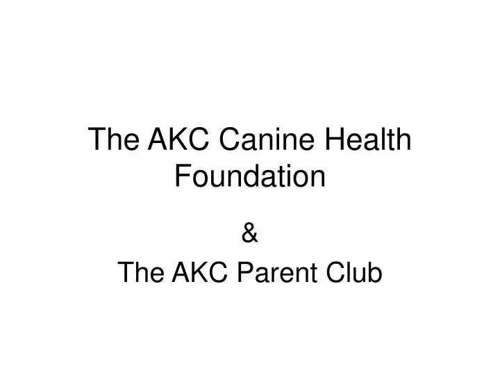 the akc canine health foundation