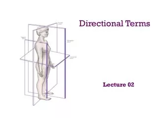 Directional Terms