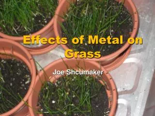 Effects of Metal on Grass