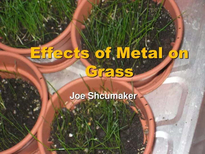 effects of metal on grass