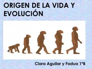 origen de la vida y evoluci n