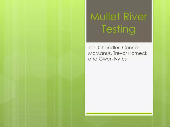 mullet river testing