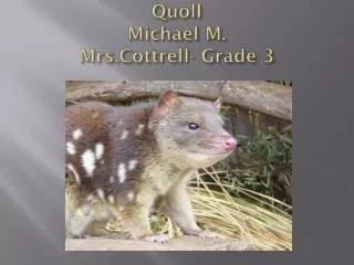 Quoll Michael M. Mrs.Cottrell - Grade 3