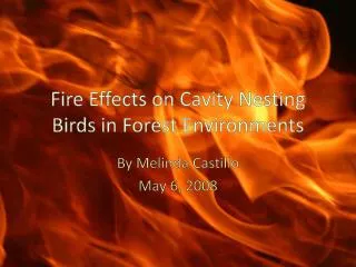 Fire Effects on Cavity Nesting Birds in Forest Environments