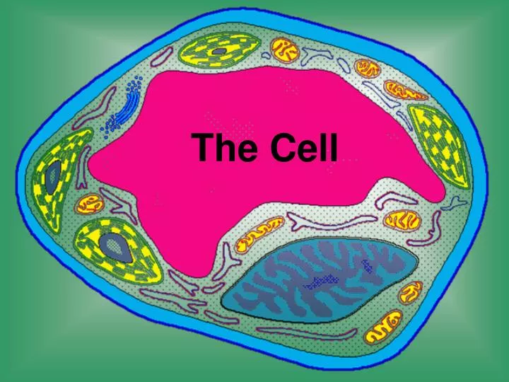 the cell