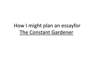How I might plan an essayfor The Constant Gardener
