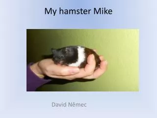 My hamster Mike