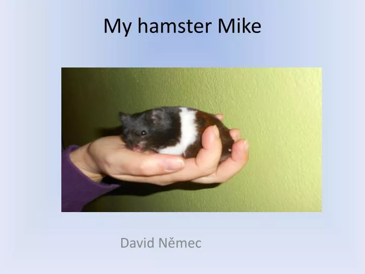 my hamster mike