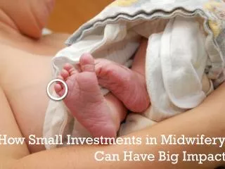 How Small Investments in Midwifery Can H ave B ig I mpact