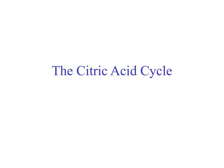 the citric acid cycle