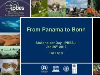 From Panama to Bonn Stakeholder Day- IPBES-1 Jan 20 th 2013 UNEP DEPI