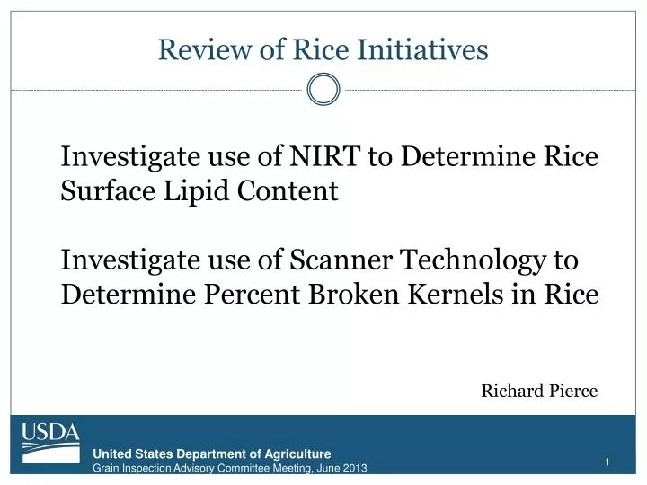 review of rice initiatives