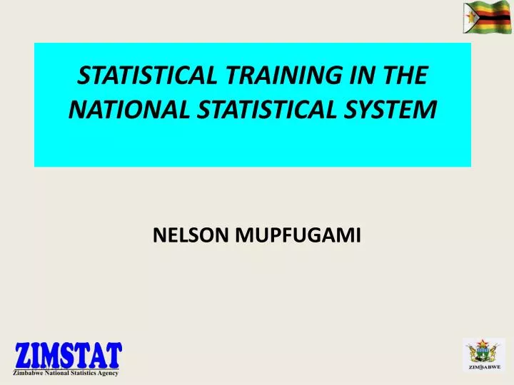 statistical training in the national statistical system